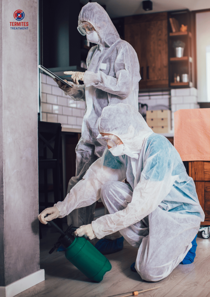 Termite Control Specialist In Singapore