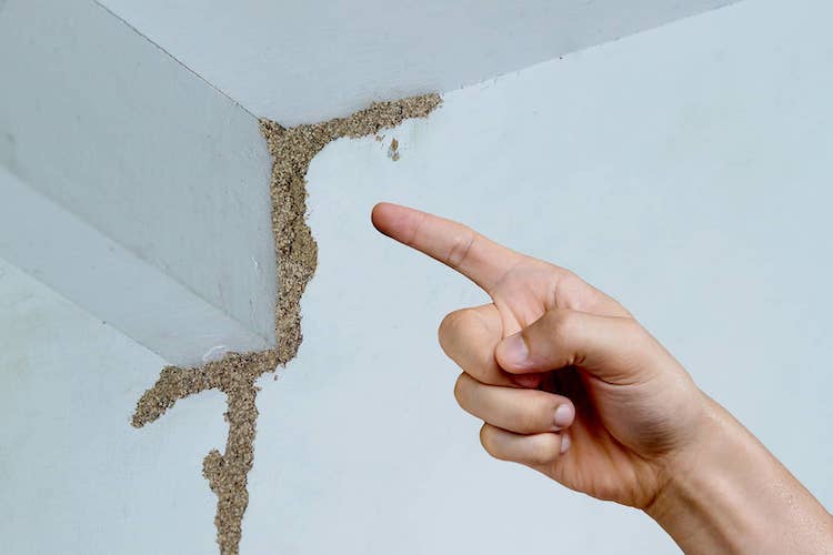 What Is Termite Baiting System