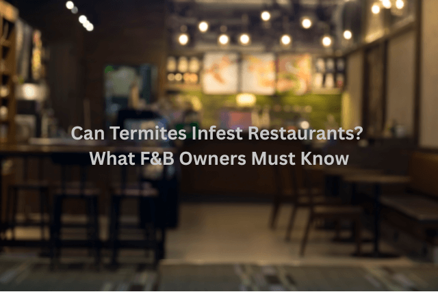 Can Termites Infest Restaurants? What F&B Owners Must Know